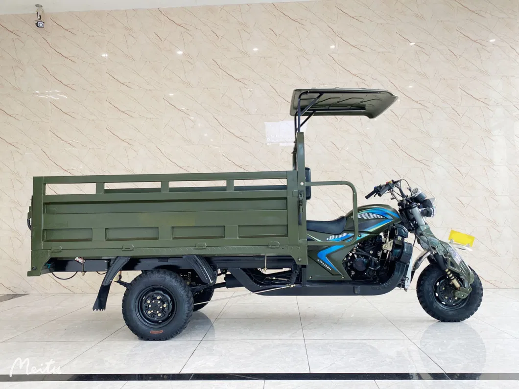 Competitive Price Good Quality 3 Wheel Cargo New Gasoline Tricycles