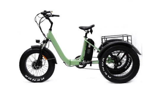 직업적인 공장 500W 모터 3 바퀴 전기 화물 Ebike 전기 세발자전거