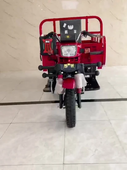 화물 로더 승객 Threewheeler 성인 인력거 판매 새로운 전기 구급차 세발 자전거