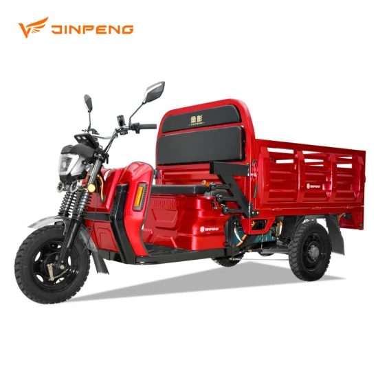 여객과 화물 운반선을 위한 똑똑한 전기 세발자전거 60V/72V 1000W 차동 모터 3 바퀴 Trike